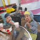 하피스포랜드 이미지