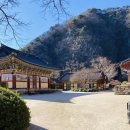 영진식당 | 포항 오어사 맛집 영진식당 둘레길 맛집 주차 꿀팁