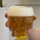 땡자애견 | 거제 애견동반 펜션 가족펜션 쏠베르펜션 B102 후기