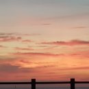 수영구 보건소 이미지