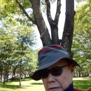 할베의 효도 라디오에서 한가락의 '당신은 명작'이~ 이미지
