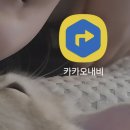 청구어린이공원 | [용인]5월 에버랜드 연휴 주차 지옥 피하는 법! 발렛 예약 및 정문 주차장 꿀팁