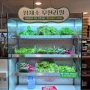 미소쌈밥정식 | 부평 쌈밥 &#39;콩뜨는집&#39; 두부수육퉁퉁장 정식 가성비 한정식 후기