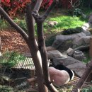 동연농장 이미지