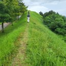 청해진(淸海鎭) 장도(將島)는 어디인가 이미지