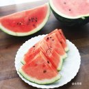 수박씨 이미지