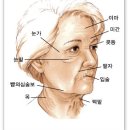 윤앤송한의원 이미지