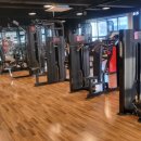 시골근육 이미지