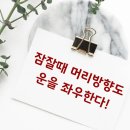 개운 Daum카페