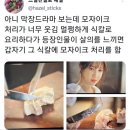 피자모자이크 네이버블로그