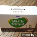 와일드캉갈 이미지