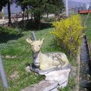 수남초교 이미지