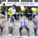 아이스 카카오 검색결과