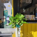 마산시농협하나로마트 이미지