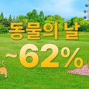 국제카써비스 이미지