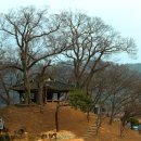 안용당 | 영암 안용당(安用堂)