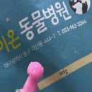 봄이온동물병원 티스토리