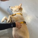 꽃길만두 천호점 | 2022.07.16