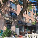 큰솔펜션 이미지