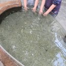 아산시생태곤충원 | 아산 아이와 가볼만한곳 추천 아산생태곤충원 후기