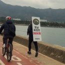 행정용 59 | 진해 중국집 악어반점 진해점 가성비 대박 삼천원 짜장면 발로뛰는 맛집 방문 후기