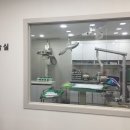 아쿠아동물병원 이미지