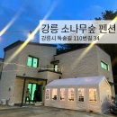 숲펜션민박 | 내돈내산 펜션 후기, 방음잘되는 펜션, 강릉 독채 펜션, 단체 펜션, 풀옵션 펜션 : 강릉 소나무숲 펜션