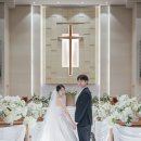 마리아주(MARIAGE) | 본식스냅 추천 마리아주그라피 교회예식스냅 내돈내산 솔직 후기