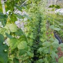 현재농장 이미지