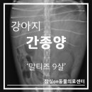 24시잠실ON동물의료센터 이미지