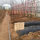 주용농장 이미지