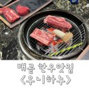 시흥/배곧) 배곧 분위기 좋은 룸에서 즐기는 소고기 한우맛집 &lt;우니하누&gt;