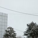 수원지방법원 용인등기소 이미지