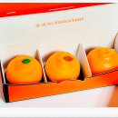 씨유제주이호해변점 | 요즘 핫한 디저트 귤쫀쿠 예약 에귤타르트 이호테우해변점 제주여행 선물 강추!