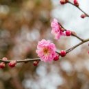 광양다압중학교 이미지