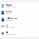 개라다이스 이미지