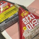 연이네 행복상점 | [녜네's일기] 24년 5.13~5.19 / 제주도 동쪽 4박5일 여름휴가