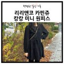 캉캉원피스 가을 겨울에 찰떡인 리리앤코 카핀쥬원피스 블랙 후기