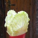 호텔 진 | #1-2. 장가계 무릉원 숙소 진푸주 호텔 후기 &amp; 시내 맛집 추천! (With. 중국 슈퍼 MANY)