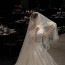 호텔미 | 엘리에나호텔 컨벤션홀 아이폰스냅 로지미 본식 촬영 후기