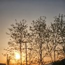 CU충주용산보람점 | 부산 출발 서울 당일치기｜KTX로 다녀온 하루 코스 후기