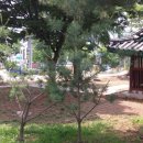 (주)삼세 이미지