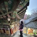 신기천축사 이미지