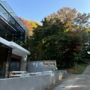 마운티 | 목동 브런치 카페 '포코아' 마운티뷰 맛집 내돈내산 후기