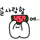 레인바우 이미지