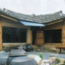 나무와흙 이미지