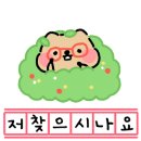 안양김준동물병원 이미지