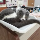 마루종합동물병원 이미지