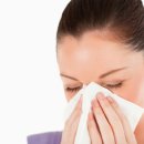 새순약국 이미지