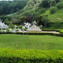 국립서울현충원 이미지